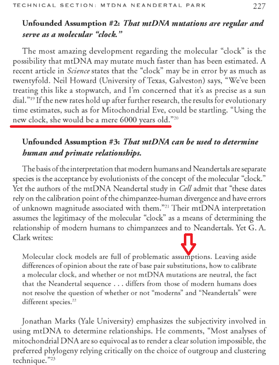 MitochondrialEve_Lubenow